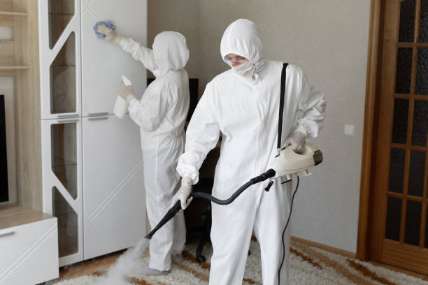 Mold Testing and Removal in Ampere North, NJ