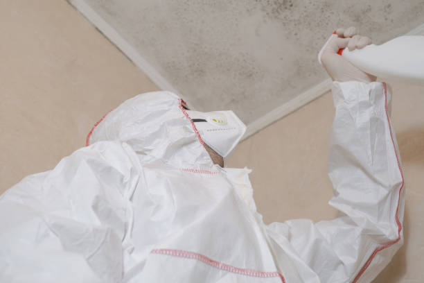 Best Office Mold Removal Services  in Ampere North, NJ