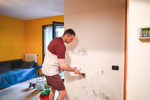 Best Commercial Mold Removal  in Ampere North, NJ